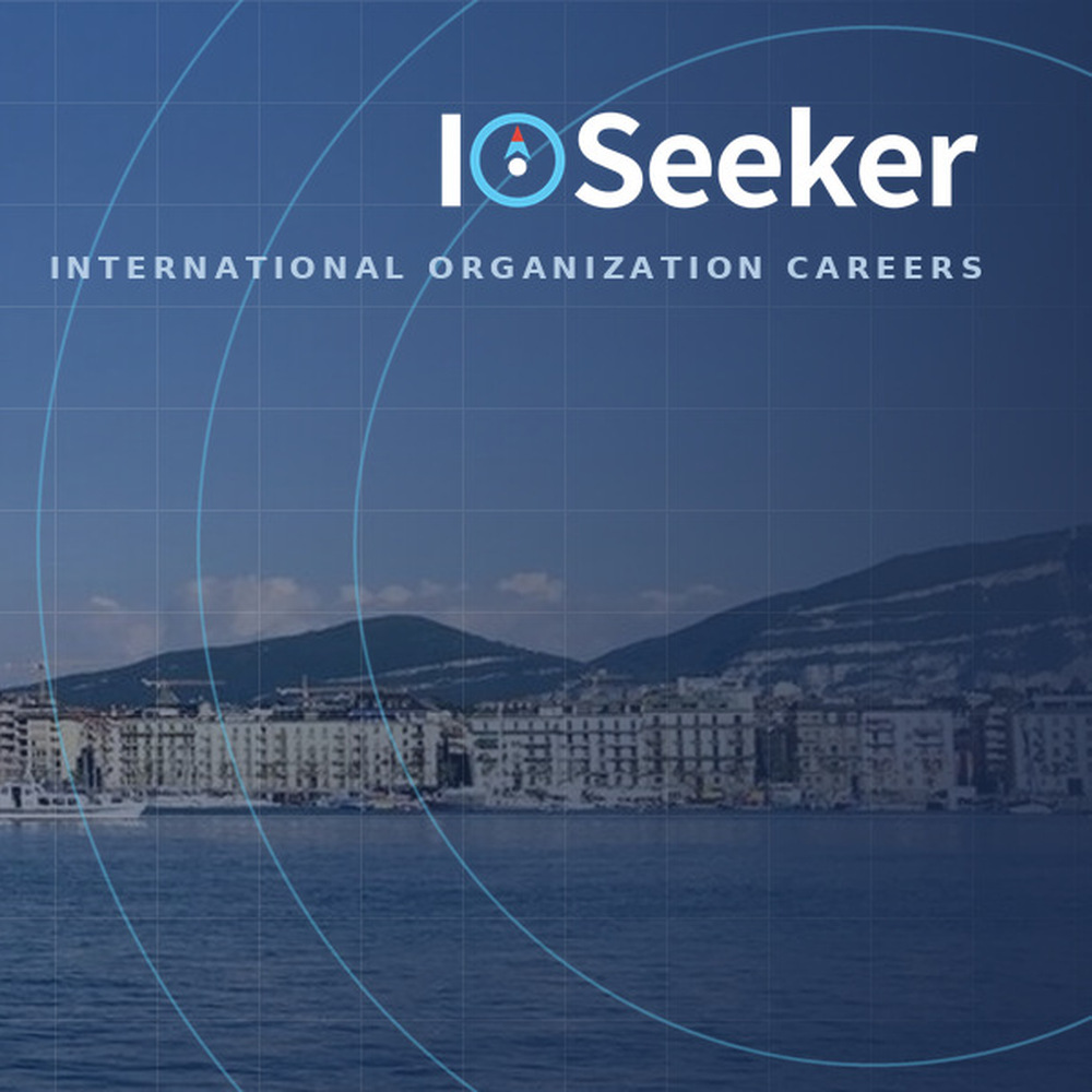 你好,我们是 IOSeeker 国组领航