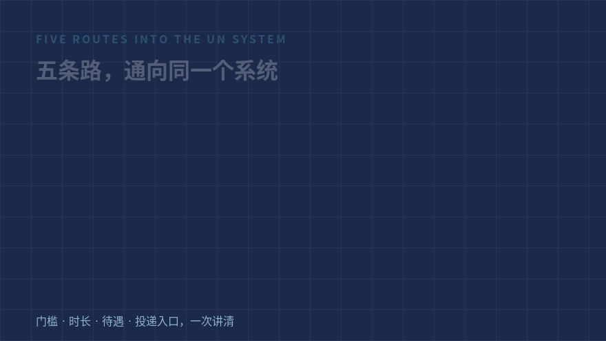 联合国的五条入口：实习、UNV、Consultant、JPO、YPP