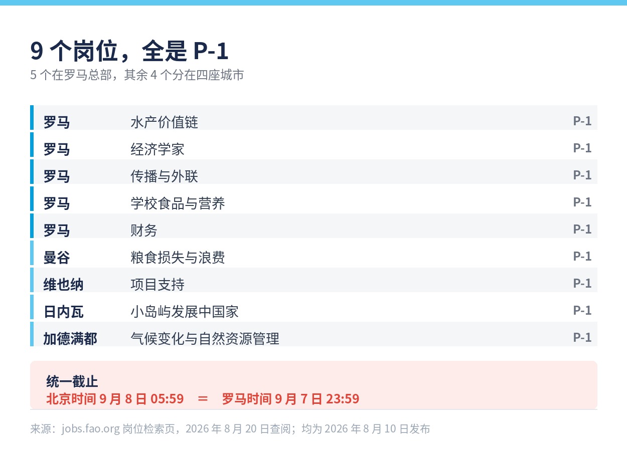 9 个 P-1 岗位的方向、地点与统一截止日期