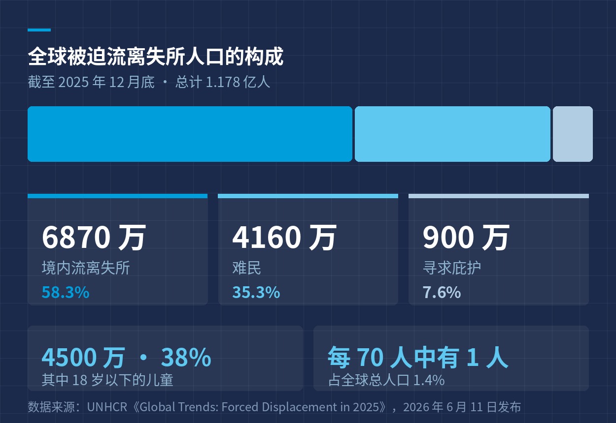 全球被迫流离失所人口的构成