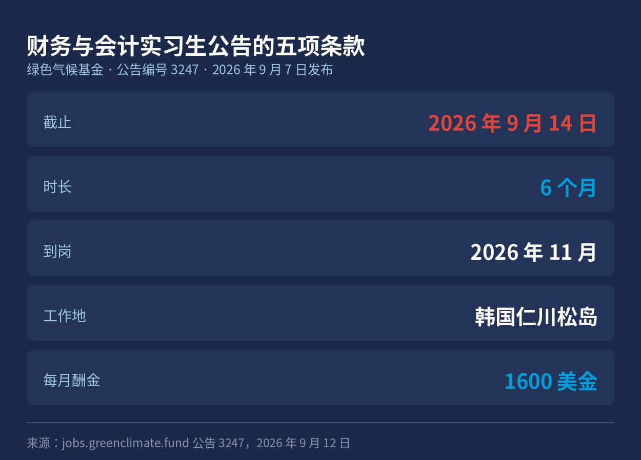 财务与会计实习生公告的五项条款
