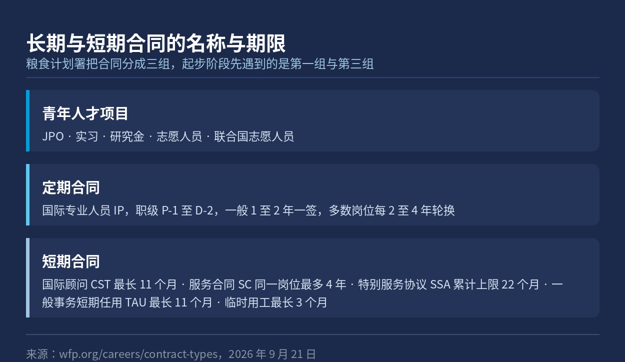 青年人才项目、定期合同与短期合同三组的名称与期限上限