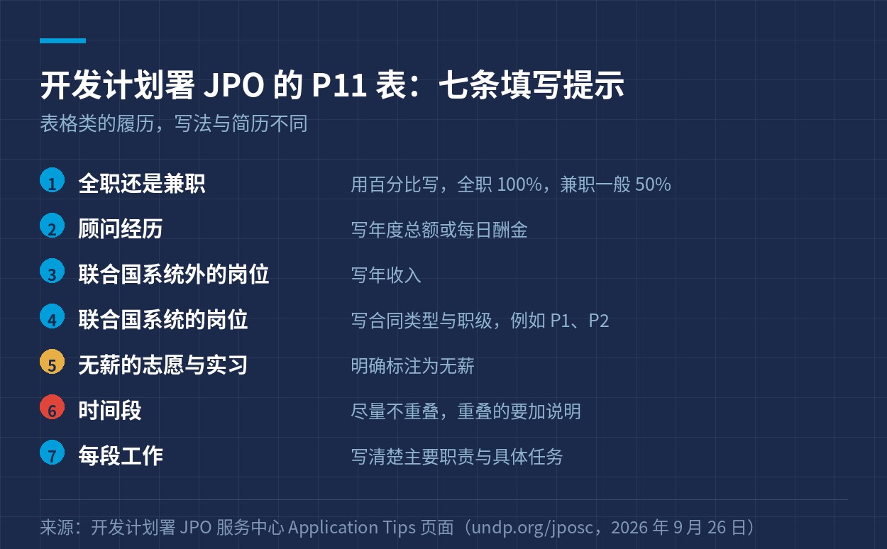 开发计划署 JPO 的 P11 表七条填写提示
