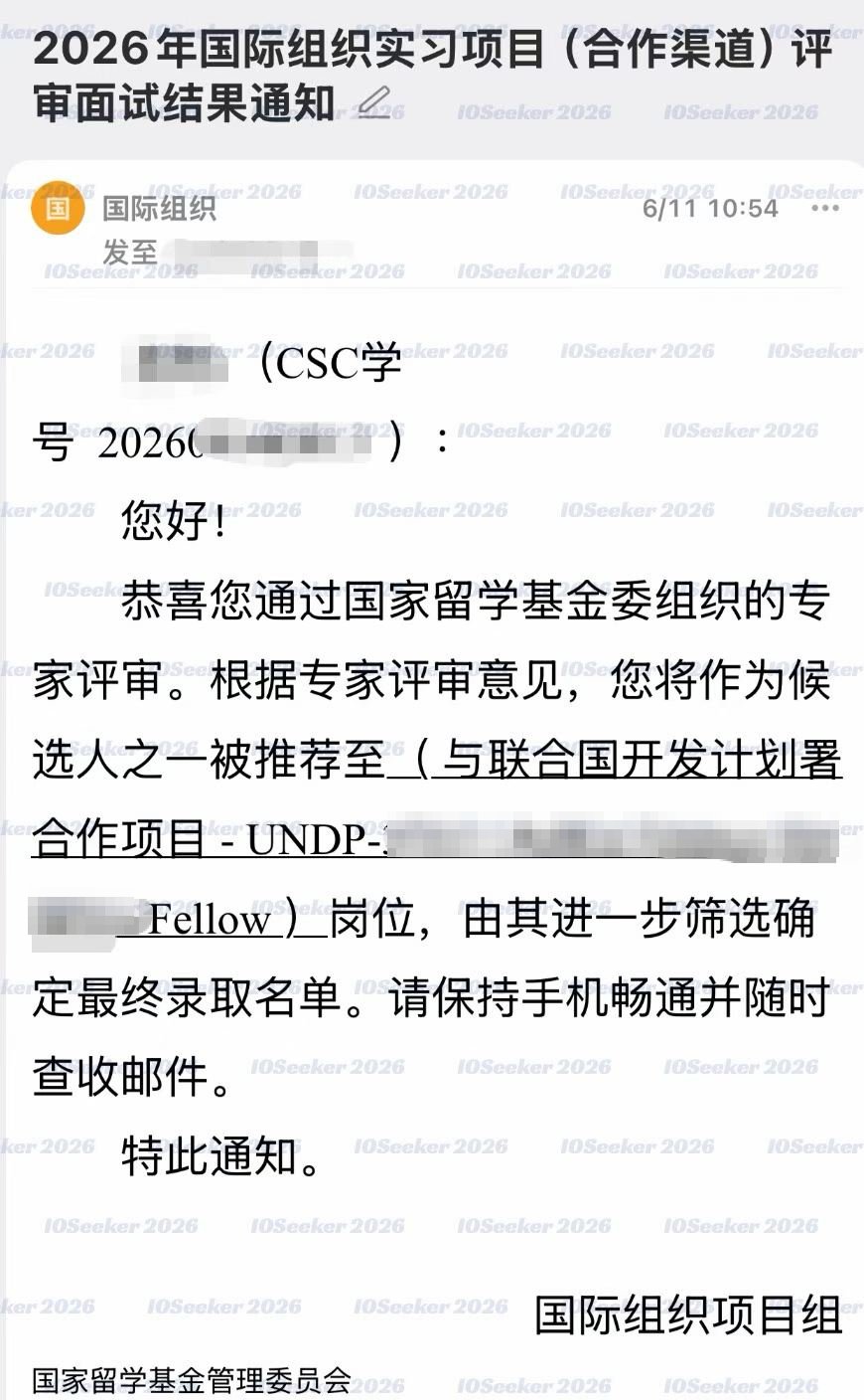 CSC 合作渠道评审推荐结果 · UNDP 联合国开发计划署岗位（已脱敏）